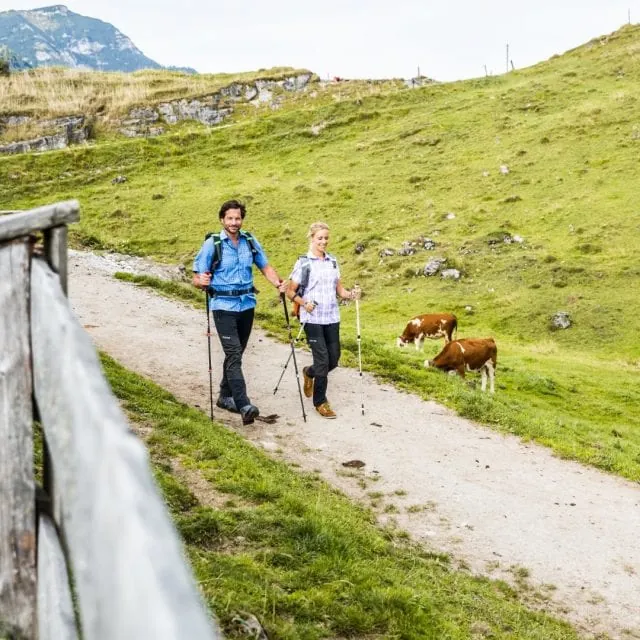 hiking,westendorf,tirol