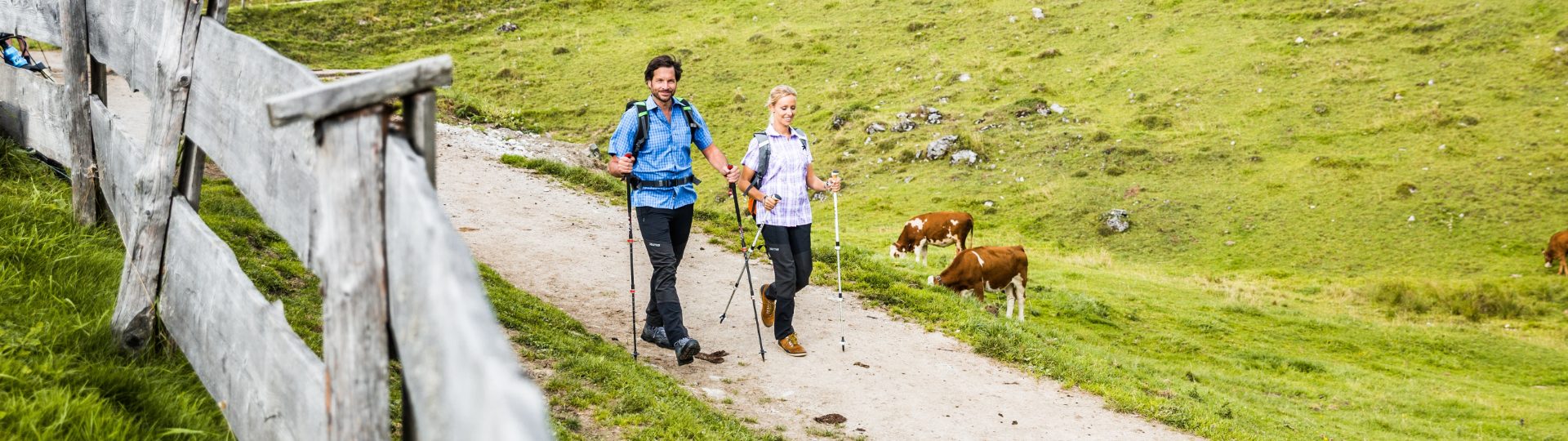 wandern kitzbuehler alpen