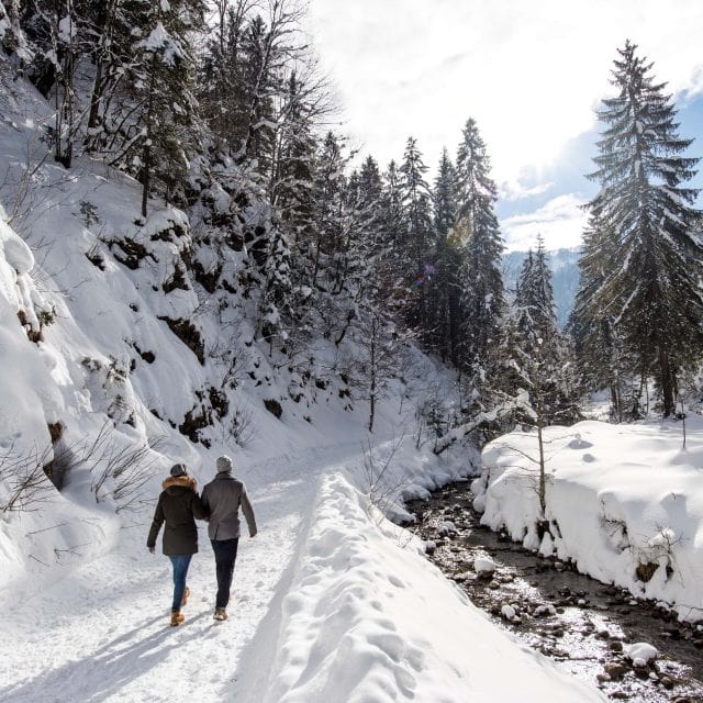 winterspaziergang neben gebirgsbach