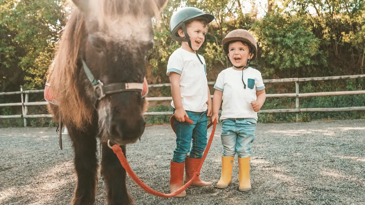 Zwei Kinder freuen sich mit einem Pony.